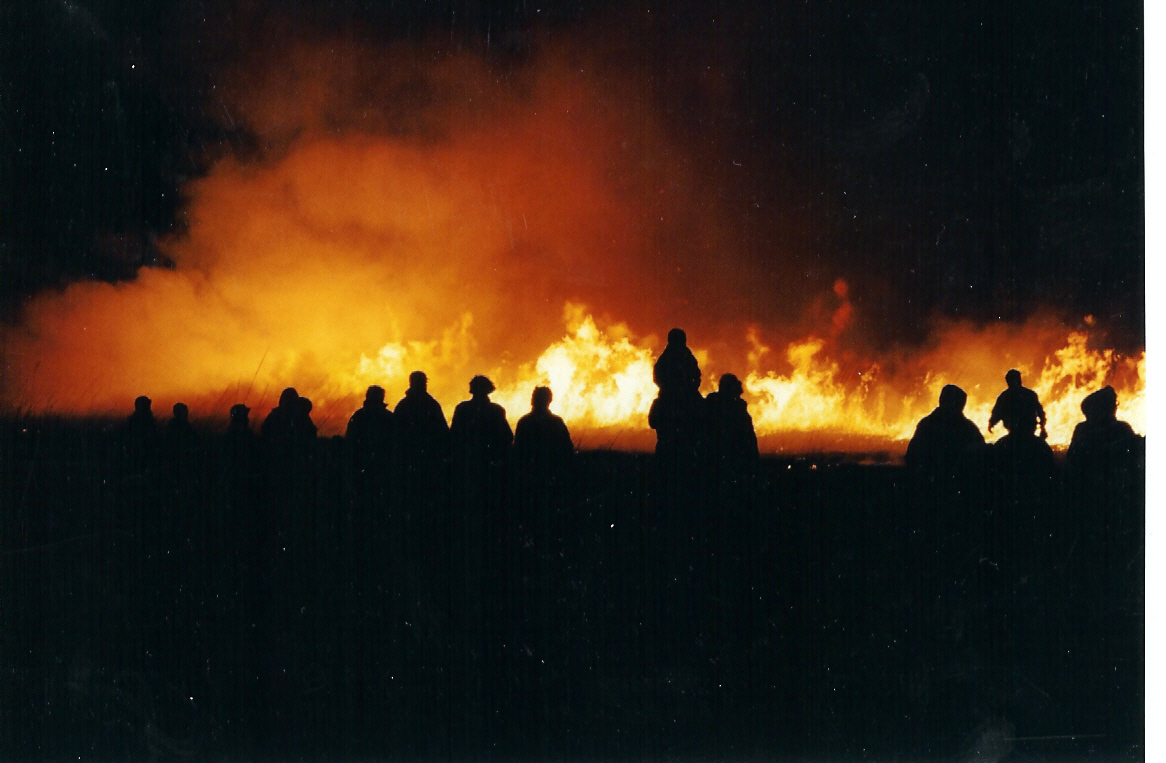 Crowd at a Burn